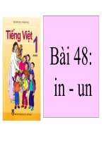 Bai48: in-un