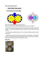 bao cao bom banh rang