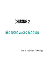 Bài giảng về bào tương và các bào quan
