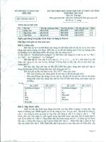 Đề thi HSG Tin 2011-2012 (PT)