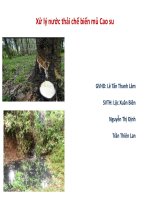 xu ly nuoc thai cao su