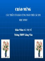 Tạo giống nhờ công nghệ Gen (Bài 20 - Sinh 12)