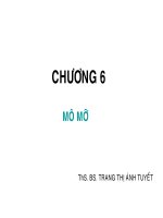 Bài giảng về  mô mỡ