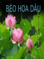 ÔN TẬP TỪ VỰNG