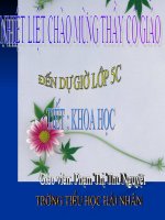 Bai 22: Tre,may,song