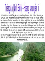 Du xuân Tràng An - NB và hơn thế nữa.