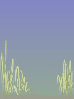 Mở bài trong bài văn kể chuyện