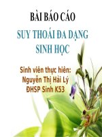 Bài báo cáo: Suy thoái đa dạng sinh học