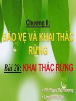 bài 28 KHAI THÁC RỪNG