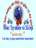 Nhan biet cay coi va cac con vat