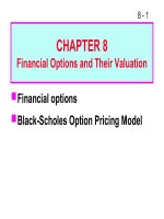 bài giảng chapter 8 financial options and their valuation