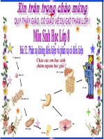 Bai 52 Phan xa khong dieu kien va phan xa co dieu kien