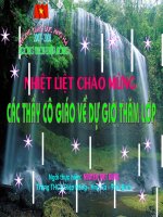 giáo án bồi dưỡng thao giảng, thi giáo viên dạy giỏi môn sinh lớp 9 bài 19 mối quan hệ giữa gen và tính trạng (7)