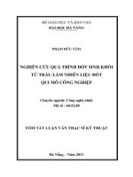 nghiên cứu quá trình đốt sinh khối từ trấu làm nhiên liệu đốt qui mô công nghiệp