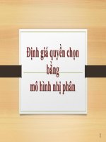 Định giá quyền chọn bằng mô hình nhị phân