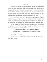 ĐƯỜNG LỐI PHÁT TRIỂN KINH TẾ XÃ HỘI TRONG THỜI KỲ CỘNG NGHIỆP HÓA HIỆN ĐẠI HÓA ĐẤT NƯỚC