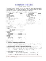 Bài tập tổng hợp lý thuyết môn Lý thuyết kế toán