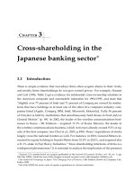 Cross shareholding in the japanese banking sector