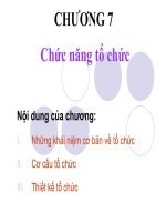 bài giảng quản trị học chương 7 chức năng tổ chức- ths. hoàng anh duy