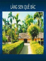 TƯ LIỆU HÌNH ẢNH BÁC HỒ