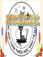 các trường hợp đồng dạng của tam giác vuông (hay tuyệt)