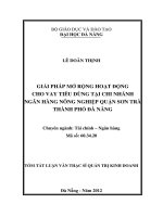 giải pháp mở rộng cho vay tiêu dùng tại chi nhánh ngân hàng nông nghiệp quận sơn trà thành phố đà nẵng
