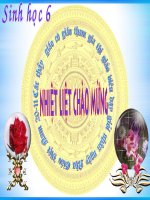 cây có hô hấp được không?