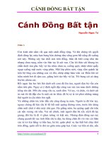 CÁNH ĐỒNG BẤT TẬN - NGUYỄN NGỌC TƯ