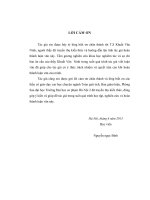 Phương pháp thác triển theo tham số giải hệ phương trình phi tuyến nhiều biến trong không gian euclide