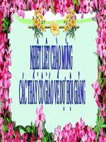 TOÁN 5 BÀI : NHÂN 1 SÔTP VỚI 1 SỐ TN