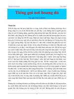 Tiếng gọi nơi hoang giã