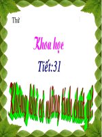 KH4 BÀI : KHÔNG KHÍ CÓ NHỮNG TÍNH CHẤT GÌ ?