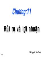 Chương 11 rủi ro và lợi nhuận