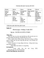 Giáo án 5-Tuần 13-18.Năm học 2011-2012