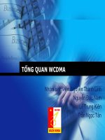Báo cáo môn Thông tin di động TỔNG QUAN WCDMA