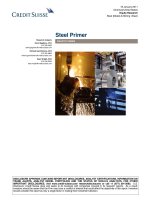 steel industry primer - credit suisse (2011)(2)