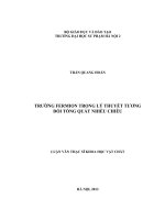 Trường fermion trong lý thuyết tương đối tổng quát nhiều chiều