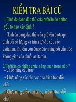 giáo án bồi dưỡng thao giảng, thi giáo viên dạy giỏi môn sinh lớp 9 bài 19 mối quan hệ giữa gen và tính trạng (4)