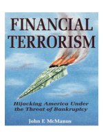 financial terrorism; hijacking america under the threat of bankruptcy (1993)
