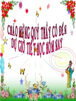 phan mem trinh chieu tt