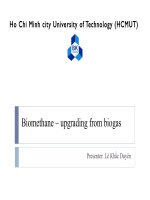 Biomethane upgrading from biogas