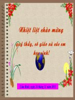 TLV:THẾ NÀO LÀ MIÊU TẢ