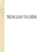 nghiên cứu về trung gian tài chính