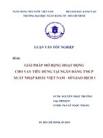 giải pháp mở rộng hoạt động cho vay tiêu dùng tại ngân hàng tmcp xuất nhập khẩu việt nam - sở giao dịch 1