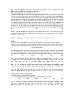 bài thi em yêu lịch sử việt nam