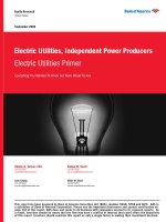 electric utilities and independent power producers industry primer  bank of america (2006)