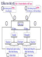 Tiết 61 : Tuyến Sinh Dục