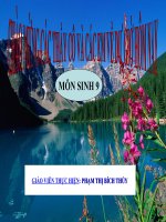 giáo án bồi dưỡng thao giảng, thi giáo viên dạy giỏi môn sinh lớp 9 bài 19 mối quan hệ giữa gen và tính trạng (3)