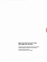 Báo cáo tài chính ngân hàng xuất nhập khẩu việt nam