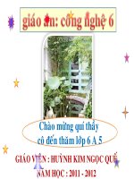 bai8 sắp xếp đồ đạc hợp lí